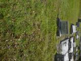 image of grave number 761031
